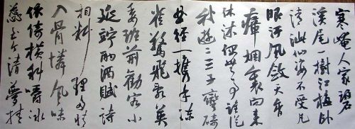 作者：曹宝麟&nbsp;曹宝麟14米册页&nbsp;￥：协商&nbsp;单击鼠标查看详细介绍！