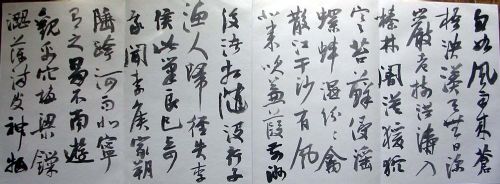 作者：曹宝麟&nbsp;曹宝麟14米册页&nbsp;￥：协商&nbsp;单击鼠标查看详细介绍！