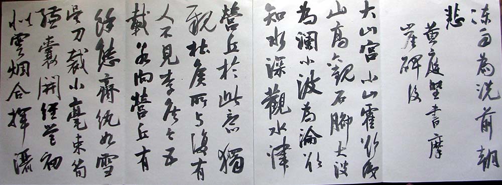 作者：曹宝麟&nbsp;曹宝麟14米册页&nbsp;￥：协商&nbsp;单击鼠标查看大图！