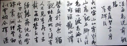 作者：曹宝麟&nbsp;曹宝麟14米册页&nbsp;￥：协商&nbsp;单击鼠标查看详细介绍！