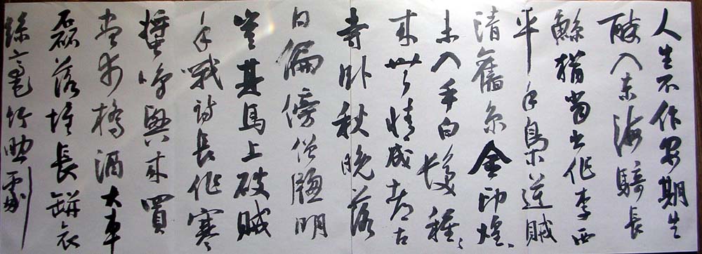 作者：曹宝麟&nbsp;曹宝麟14米册页&nbsp;￥：协商&nbsp;单击鼠标查看大图！