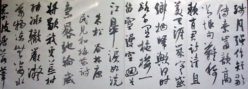 作者：曹宝麟&nbsp;曹宝麟14米册页&nbsp;￥：协商&nbsp;单击鼠标查看详细介绍！