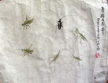 作者：张正吟&nbsp;花鸟&nbsp;￥：协商&nbsp;单击鼠标查看详细介绍！