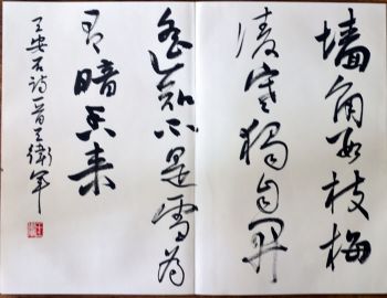 作者：王卫军&nbsp;书法&nbsp;￥：协商&nbsp;单击鼠标查看详细介绍！