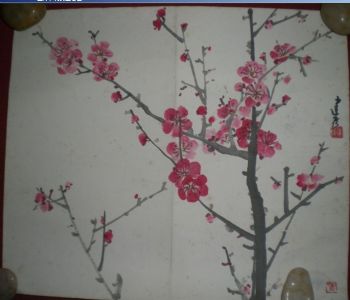 作者：杨建侯&nbsp;花鸟&nbsp;￥：协商&nbsp;单击鼠标查看详细介绍！