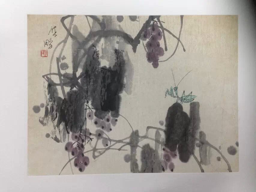 作者：沈启鹏&nbsp;花鸟&nbsp;￥：协商&nbsp;单击鼠标查看大图！