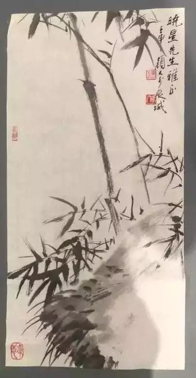 作者：朱颖人&nbsp;花鸟&nbsp;￥：协商&nbsp;单击鼠标查看大图！