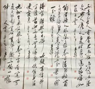 作者：y恽建新&nbsp;书法&nbsp;￥：协商&nbsp;单击鼠标查看详细介绍！