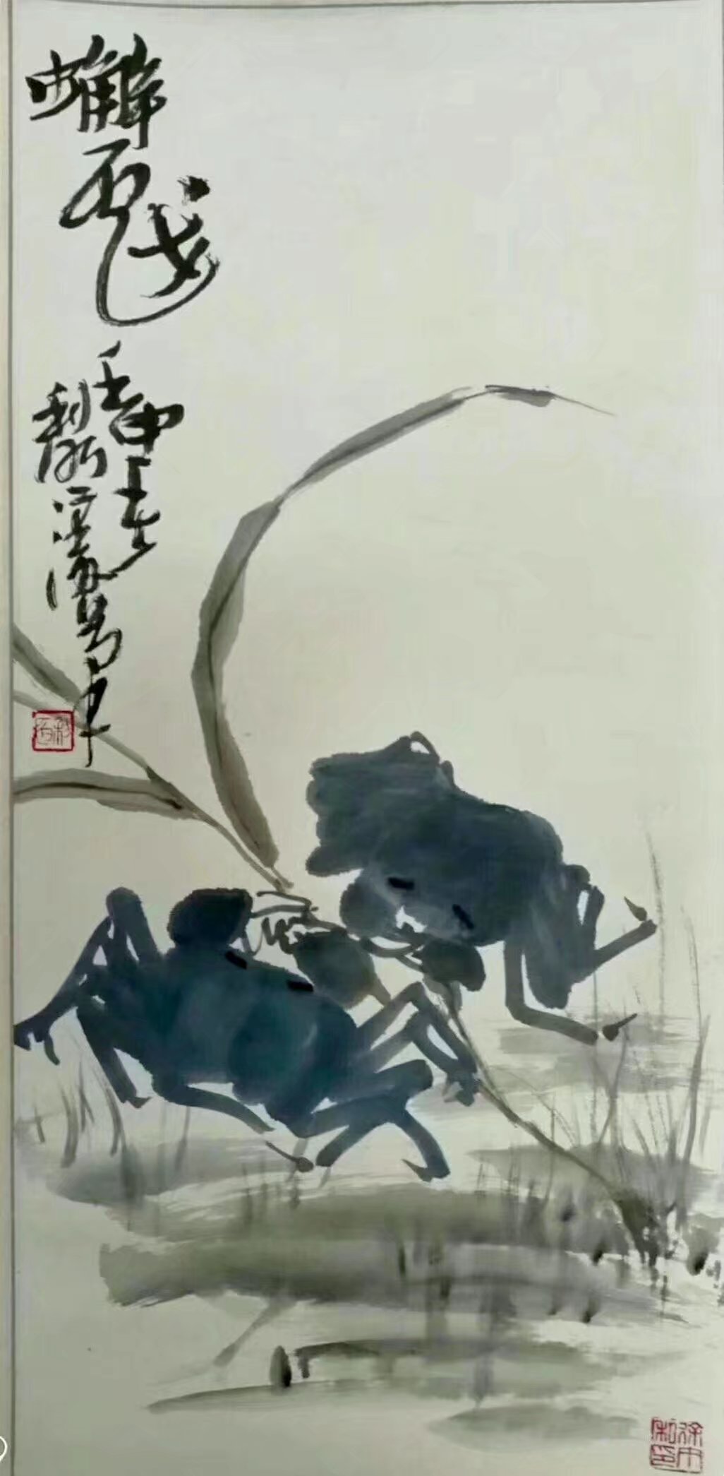 作者：徐利明&nbsp;花鸟&nbsp;￥：协商&nbsp;单击鼠标查看大图！