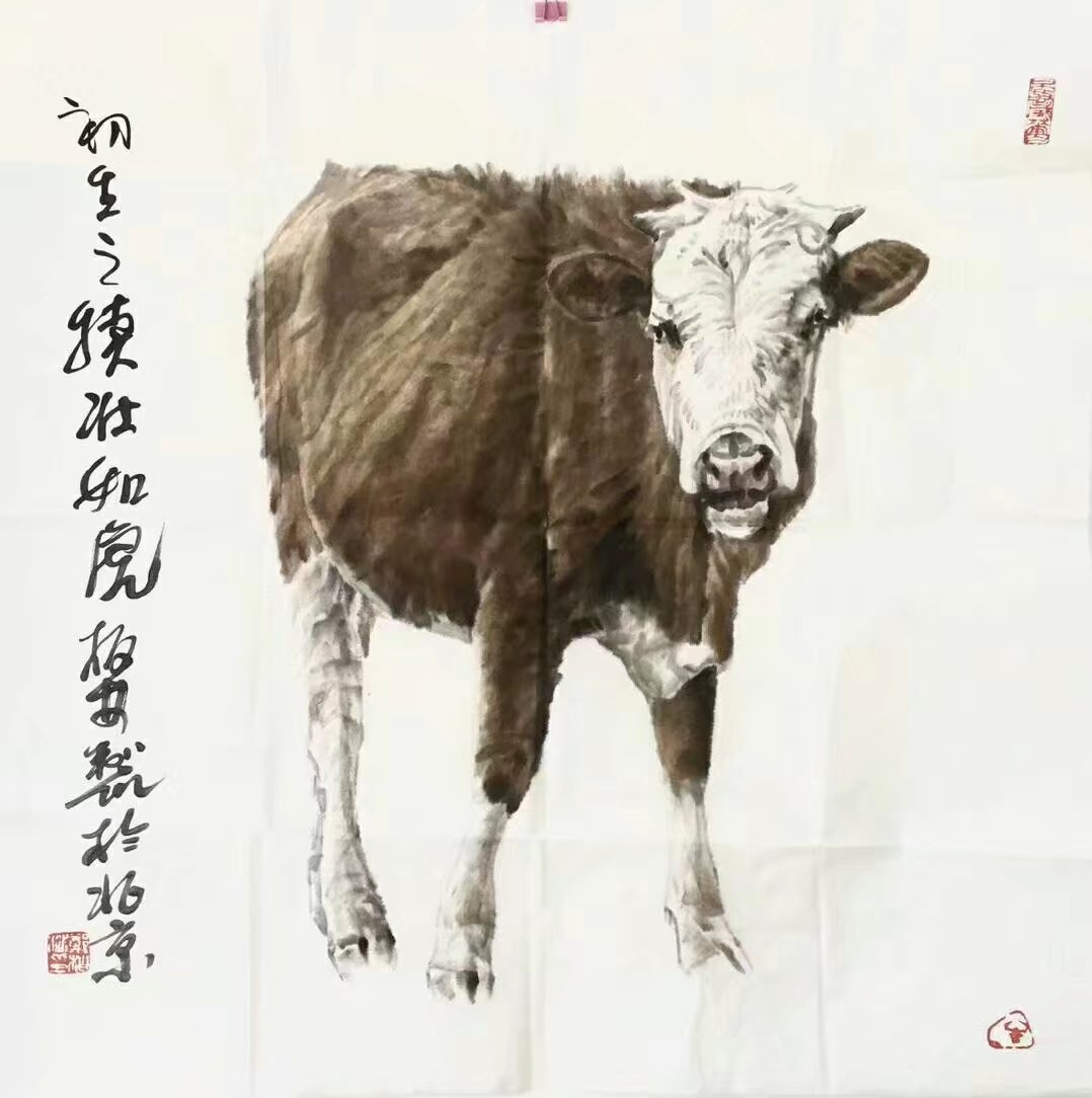 作者：郑柏林&nbsp;花鸟&nbsp;￥：协商&nbsp;单击鼠标查看大图！