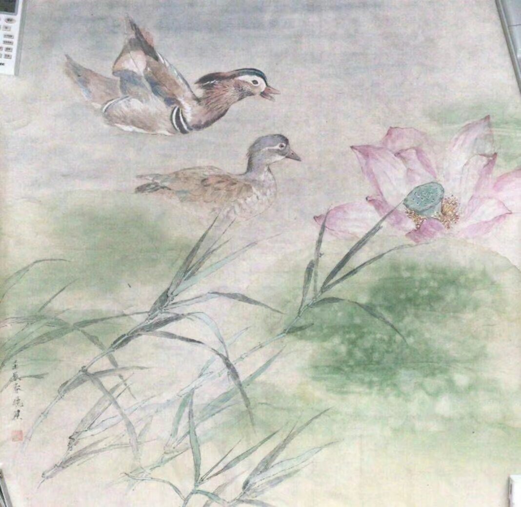 作者：张晓星&nbsp;花鸟&nbsp;￥：协商&nbsp;单击鼠标查看大图！