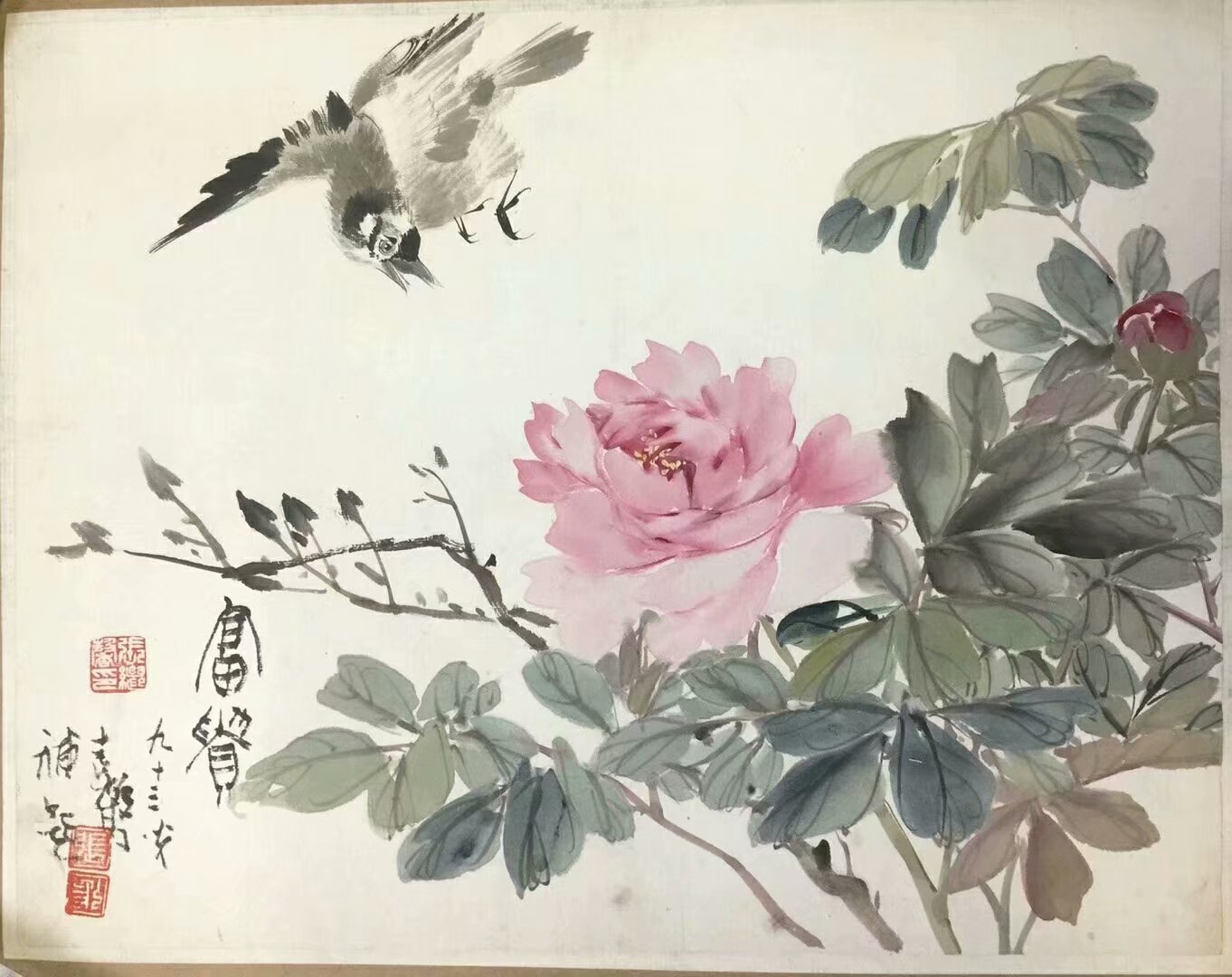 作者：张继馨&nbsp;花鸟&nbsp;￥：协商&nbsp;单击鼠标查看大图！