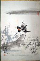 作者：杨正新&nbsp;花鸟 &nbsp;￥：协商&nbsp;单击鼠标查看详细介绍！